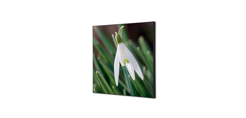 Décoration Murale en tissu SET 40 x 40 Fleur Blanche Spirée