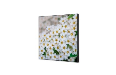 decoración textil de Pared SET 40 x 40 Flor Blanca Spirea