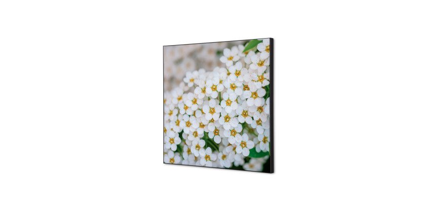 Textile Wall Decoration SET 40 x 40 White Flower Spirea I3