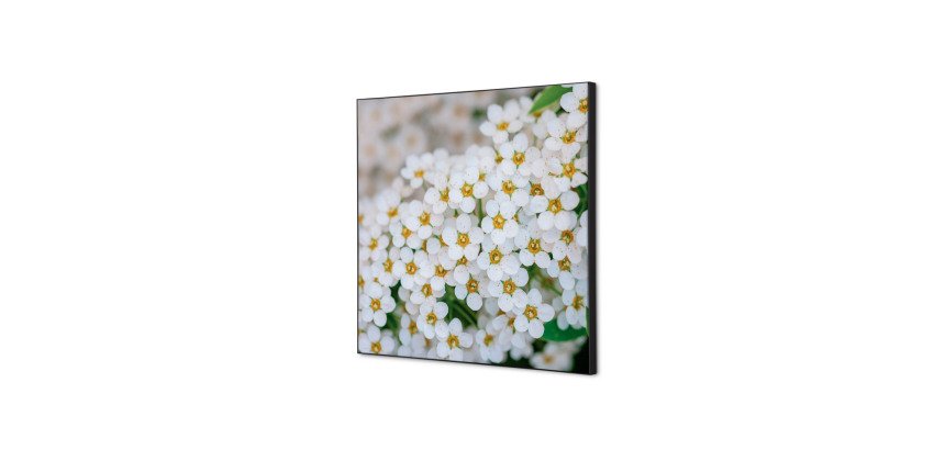 Décoration Murale en Tissu SET 40 x 40 Perce-neige A Fleurs Blanches