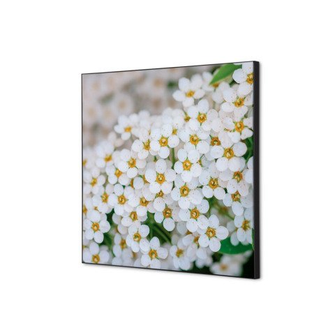 decoración textil de Pared SET 40 x 40 Flor Blanca Spirea