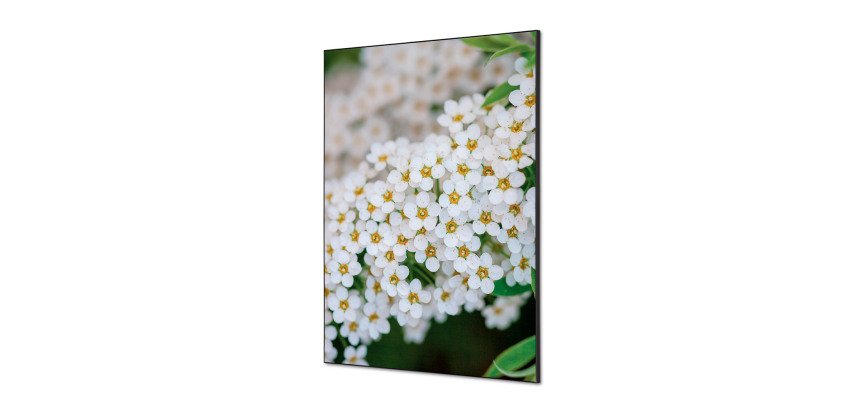 Décoration Murale en tissu SET A1 Perce-neige A Fleurs Blanches