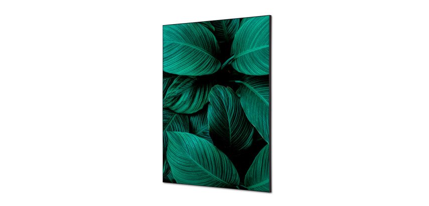 Spannstoff Wanddekoration SET A1 Botanische Blätter Grün
