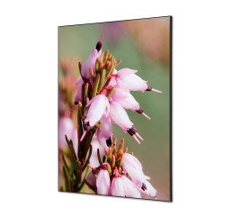 Textile Wall Decoration SET A1 Pink Flower Erica I5