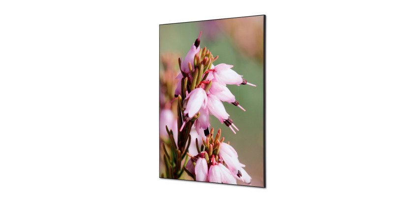 Décoration Murale en tissu SET A1 Fleur de Bruyere Rose