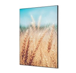 Textile Wall Decoration SET A1 Grain Field I814