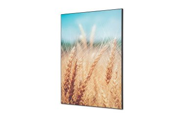 Décoration Murale en Tissu SET A1 Champ de Céréales