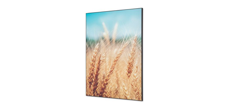 Décoration Murale en Tissu SET A1 Champ de Céréales