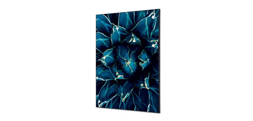 Spannstoff Wanddekoration SET A1 Kaktus Blau