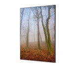 Décoration Murale en Tissu SET A1 Brume d'automne