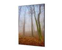 Wanddecoratie Textiel SET A1 Herfst Mist