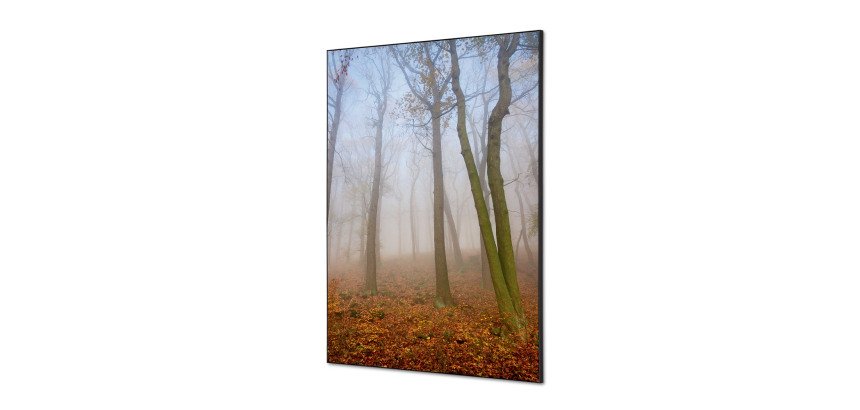 Décoration Murale en Tissu SET A1 Brume d'automne