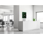 Décoration Murale en tissu SET A1 Cactus Vert