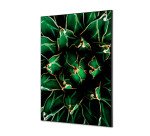 Décoration Murale en tissu SET A1 Cactus Vert