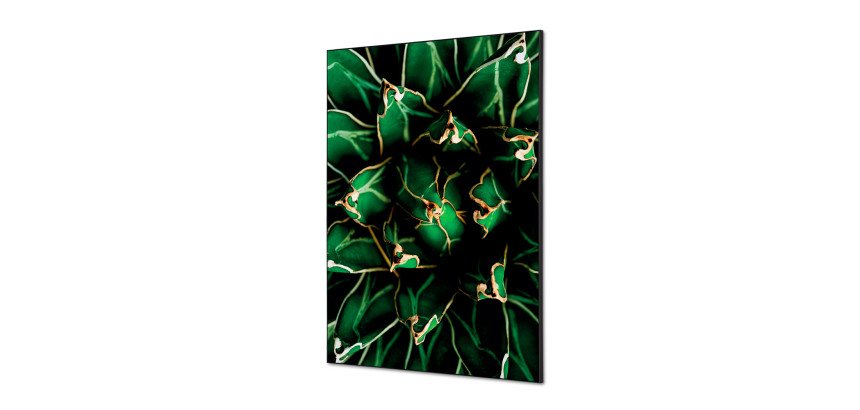 Décoration Murale en tissu SET A1 Cactus Vert