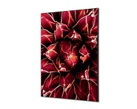 Décoration Murale en Tissu SET A1 Cactus Rouge