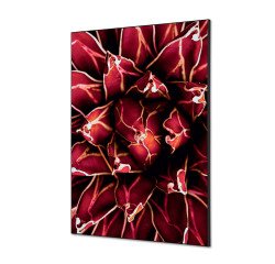 Decoración Textil de Pared SET A1 Cactus Rojo