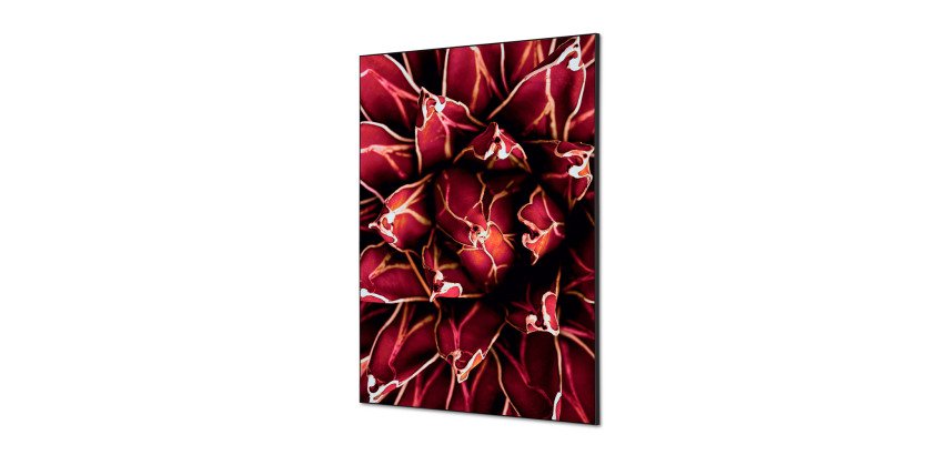 Textile Wall Decoration SET A1 Cactus Red I821