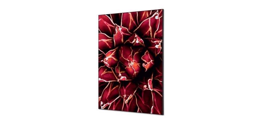 decoración textil de Pared SET A1 Cactus Rojo