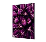 decoración textil de Pared SET A1 Cactus Morado