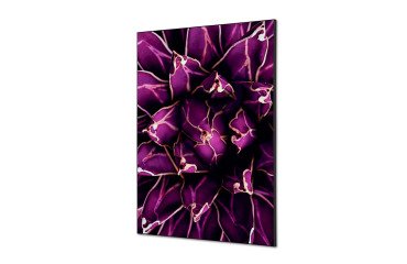 Décoration Murale en Tissu SET A1 Cactus