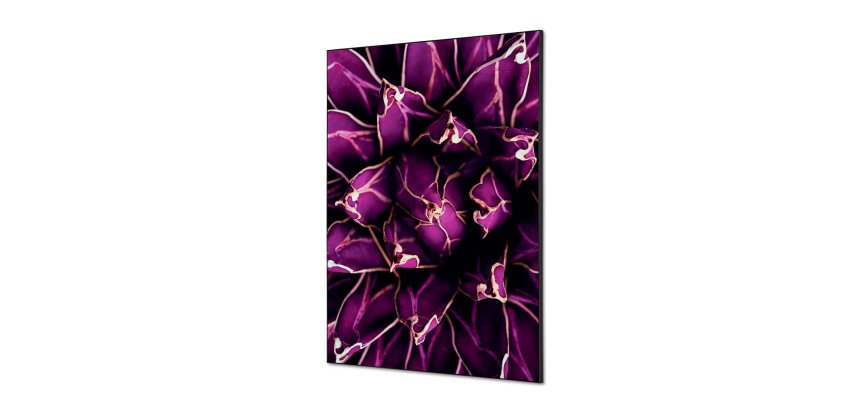 decoración textil de Pared SET A1 Cactus Morado