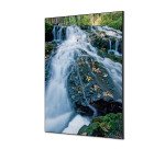 Décoration Murale en tissu SET A1 Foret Cascade