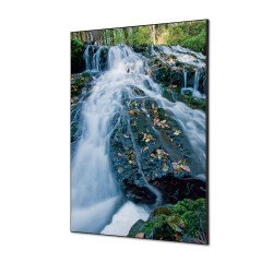 Décoration Murale en Tissu SET A1 Foret Cascade