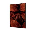 decoración textil de Pared SET A2 Hoja Botánica Roja