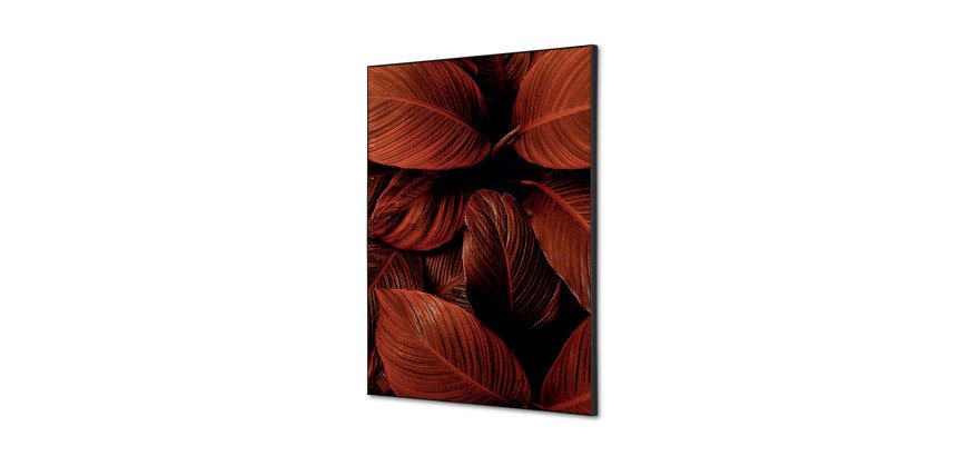 decoración textil de Pared SET A2 Hoja Botánica Roja