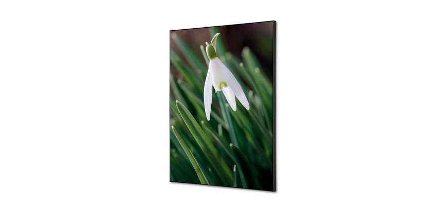 Wanddecoratie Textiel SET A2 Witte Bloem Sneeuwklokje
