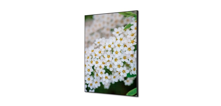 Textile Wall Decoration SET A2 White Flower Spirea I3