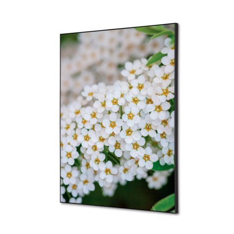 decoración textil de Pared SET A2 Flor Blanca Spirea