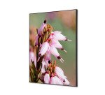 Wanddecoratie Textiel SET A2 Roze Bloem Erica