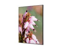 Spannstoff Wanddekoration SET A2 Pinke Blume Erica