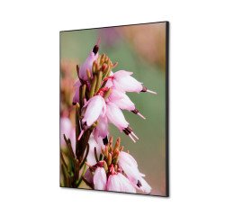 Wanddecoratie Textiel SET A2 Roze Bloem Erica
