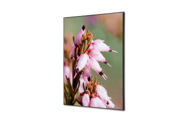 decoración textil de Pared SET A2 Flor Rosa Erica