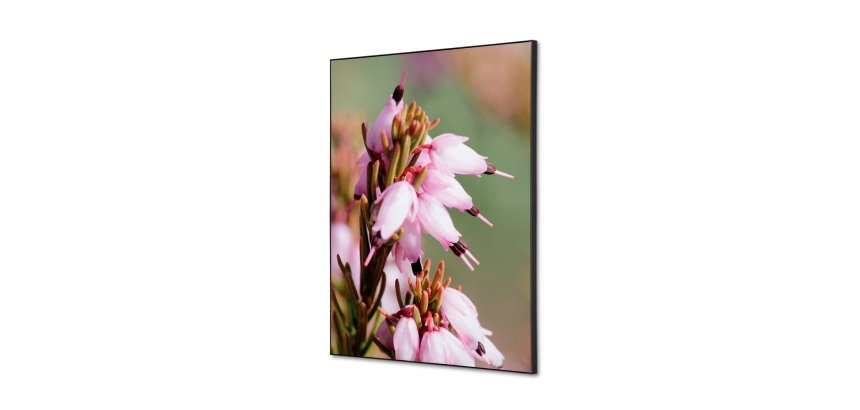 Wanddecoratie Textiel SET A2 Roze Bloem Erica