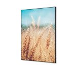 Wanddecoratie Textiel SET A2  Graanveld