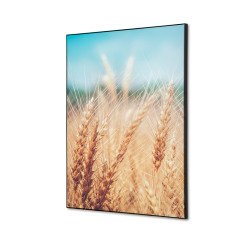 Wanddecoratie Textiel SET A2  Graanveld