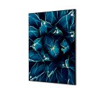 Wanddecoratie Textiel SET A2 Cactus Blauw