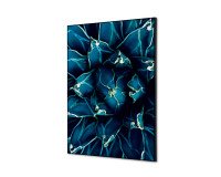 Décoration Murale en Tissu SET A2 Cactus Bleu