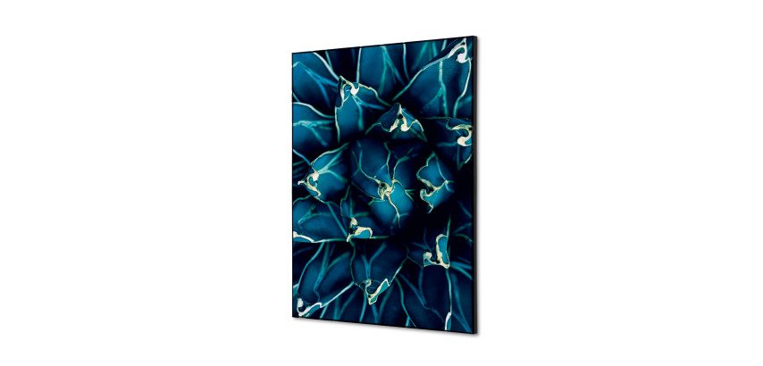 Décoration Murale en tissu SET A2 Cactus Bleu