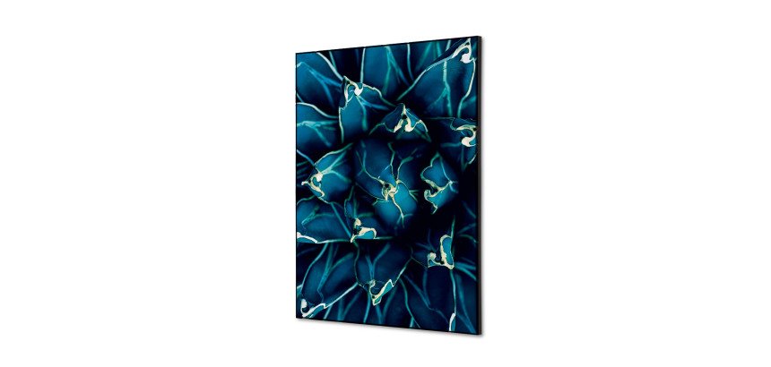 Wanddecoratie Textiel SET A2 Cactus Blauw