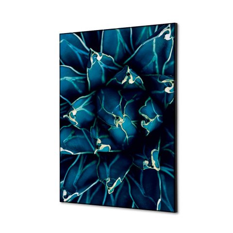 decoración textil de Pared SET A2 Cactus Azul