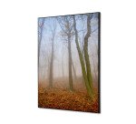 decoración textil de Pared SET A2 Niebla de Otono