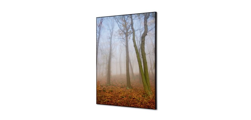 decoración textil de Pared SET A2 Niebla de Otono
