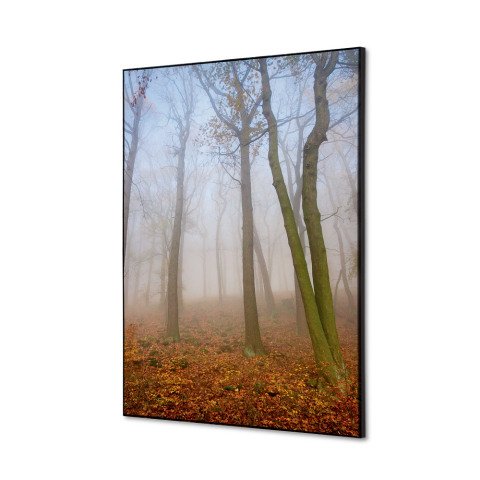 decoración textil de Pared SET A2 Niebla de Otono