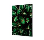 decoración textil de Pared SET A2 Cactus Verde