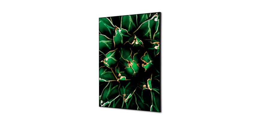 decoración textil de Pared SET A2 Cactus Verde